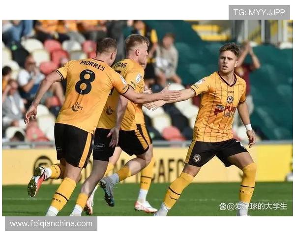 南安普顿俱乐部：重塑辉煌的历程与未来展望