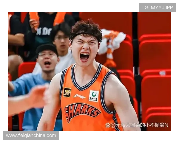 多支球队加强阵容迎接季后赛关键冲刺阶段最新动态纵览报道全景