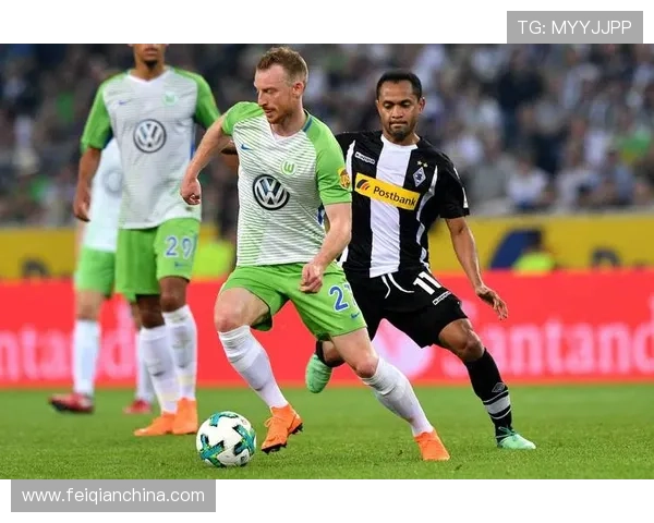 维罗纳俱乐部百年传承与意甲赛场崛起复兴之路探索历史文化与未来愿景展望